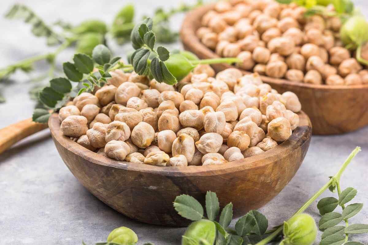 شناسایی ژنهای بیماریزا در نخود شناسایی ژنهای بیماریزا در نخود