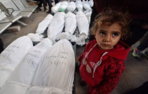 شهادت دستکم ۱۴۳ فلسطینی در موج توحش اخیر صهیونیست ها شهادت دستکم ۱۴۳ فلسطینی در موج توحش اخیر صهیونیست ها