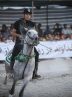 نفرات برتر مسابقات اسب سواری جشنواره عشایری کلیبر معرفی شدند نفرات برتر مسابقات اسب سواری جشنواره عشایری کلیبر معرفی شدند