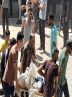 شهادت ۸۰ فلسطینی از بامداد تا امروز به دست اشغالگران در غزه