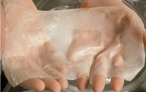 تولید پروتئین ابریشم به روش زیستی برای ترمیم پوست و استخوان تولید پروتئین ابریشم به روش زیستی برای ترمیم پوست و استخوان