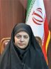 برنامه توسعه خودروهای برقی