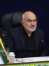 علت آتش‌سوزی نخلستان‌های آبادان در دست بررسی است