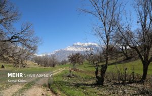 جستجوی گسترده برای یافتن دامپزشک مفقودشده درارتفاعات اندیکا ادامه دارد جستجوی گسترده برای یافتن دامپزشک مفقودشده درارتفاعات اندیکا ادامه دارد