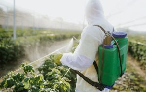 ثبت سفارش سموم دفع آفات نباتی فردا آغاز میشود ثبت سفارش سموم دفع آفات نباتی فردا آغاز میشود