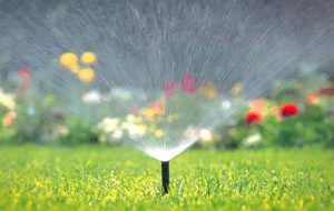 استفاده از ۵۶.۵ میلیون متر مکعب پساب برای آبیاری فضای سبز شهری استفاده از ۵۶.۵ میلیون متر مکعب پساب برای آبیاری فضای سبز شهری