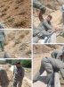 توزیع ۱۶۰ گالن ضدعفونی‌کننده برای پیشگیری از بیماری در حیات وحش تهران