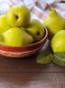 میوه‌ای برای لاغری و پیشگیری از سرطان