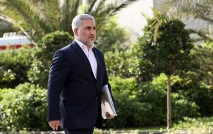 اسماعیلی: معاونت پارلمانی تنها سخنگوی دولت در مجلس است