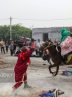 کاروان نمادین اسرای کربلا در  میناب