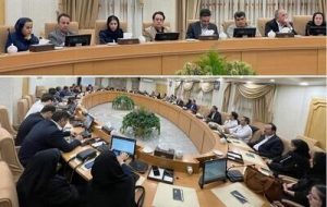 نسل جدید روغنهای موتور و سیالات خودروهای هیبریدی و الکتریکی توسط نفت ریسان معرفی شد نسل جدید روغنهای موتور و سیالات خودروهای هیبریدی و الکتریکی توسط نفت ریسان معرفی شد